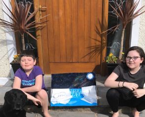 Fintan and Eva B Animal Habitat Project