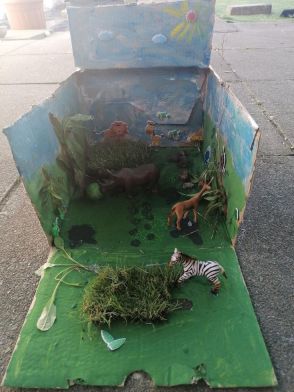 Megan M Animal Habitat Project
