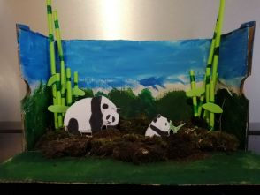 Emma's Wonderful Habitat