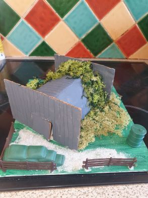 Oisin's Anderson Shelter